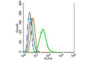 RSC96 cells probed with WDR26 Polyclonal Antibody, unconjugated  at 1:100 dilution for 30 minutes compared to control cells (blue) and isotype control (orange)