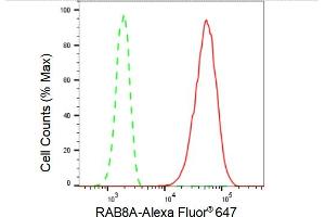 Flow cytometric analysis of RAB8A expression in HepG2 cells using RAB8A antibody (ABIN7800107), 1:2,000). (Rekombinanter RAB8A Antikörper)