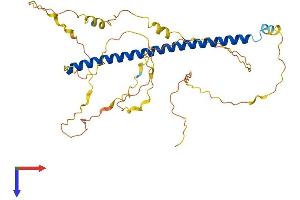 CREB5 Protein (AA 1-357) (His tag)