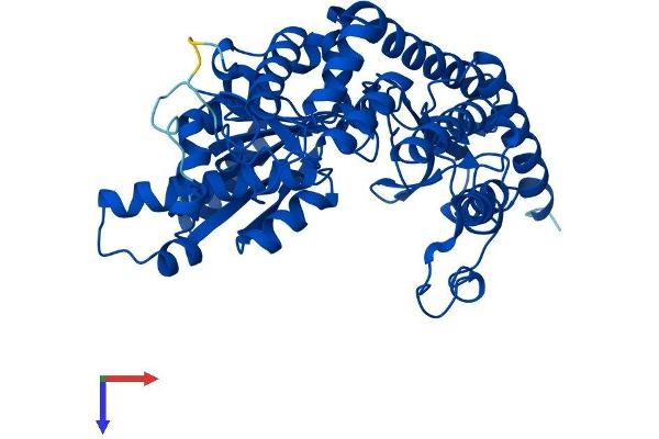 DDC Protein (AA 1-480) (His tag)