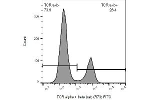Surface staining of rat splenocytes with anti-rat TCR alpha/beta (R73) FITC. (TCR alpha/beta Antikörper  (FITC))