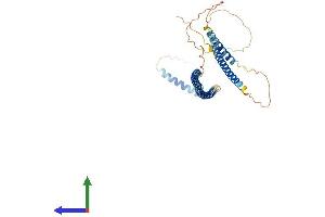 Protein Structure (PS) image for G Kinase Anchoring Protein 1 (GKAP1) (AA 1-366) protein (His tag) (ABIN7548011)