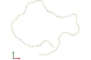 Protein Structure (PS) image for Keratin Associated Protein 14 (KRTAP14) (AA 1-167) protein (His tag) (ABIN7562183)