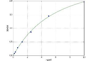 A typical standard curve