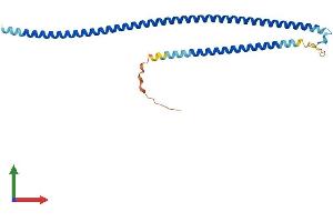 AlphaFold protein structure predicition of Human Recombinant RABGAP1L Protein, UniprotID B7ZAP0