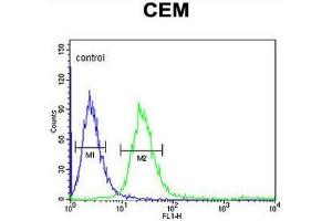 Flow Cytometry (FACS) image for anti-Fc Fragment of IgG, High Affinity Ib, Receptor (CD64) (FCGR1B) (AA 251-280), (C-Term) antibody (ABIN952298)