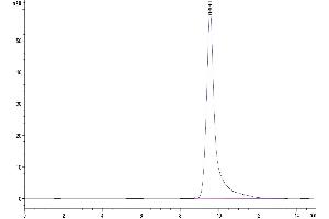 The purity of Human TRAIL R2 is greater than 95 % as determined by SEC-HPLC. (TNFRSF10B Protein (AA 56-182) (His-Avi Tag))