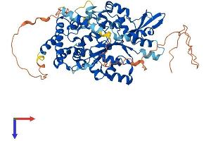 CHST15 Protein (AA 1-561) (His tag)