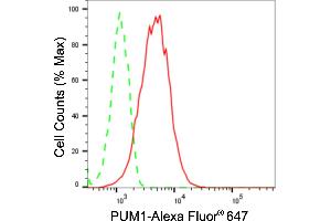 Flow cytometric analysis of PUM1 expression in HepG2 cells using PUM1 antibody (ABIN7800064), 1:2,000). (Rekombinanter PUM1 Antikörper)