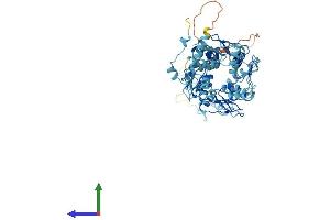 Protein Structure (PS) image for Zinc Finger Protein 791 (ZNF791) (AA 1-576) protein (His tag) (ABIN7545402)