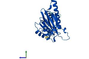 AlphaFold protein structure predicition of Mouse Recombinant Psma5 Protein, UniprotID Q9Z2U1