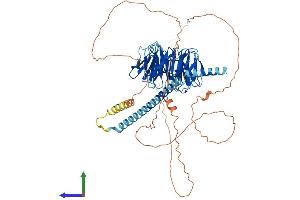 Protein Structure (PS) image for Neural Precursor Cell Expressed, Developmentally Down-Regulated 1 (NEDD1) (AA 1-660) protein (His tag) (ABIN7563141)