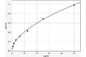 Neuron-Derived Neurotrophic Factor (NDNF) ELISA Kit
