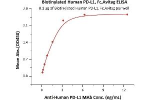 Immobilized Biotinylated Human PD-L1, Fc,Avitag (ABIN5674607,ABIN6253677) at 1 μg/mL (100 μL/well) on Streptavidin  precoated (0. (PD-L1 Protein (AA 19-238) (Fc Tag,AVI tag,Biotin))