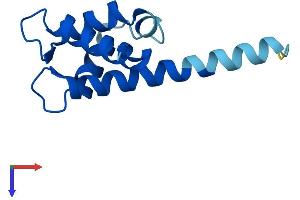 S100A7A Protein (AA 1-108) (His tag)