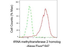 Flow cytometric analysis of tRNA methyltransferase 2 homolog expression in HepG2 cells using tRNA methyltransferase 2 homolog A antibody (ABIN7800983), 1:2,000). (Rekombinanter TRNA Methyltransferase 2 Homolog Antikörper)