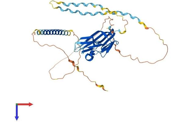 Ectodysplasin A Protein (EDA) (AA 1-391) (His tag)