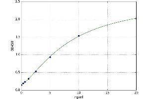 A typical standard curve