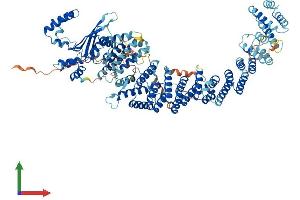 AlphaFold protein structure predicition of Human Recombinant ZSWIM4 Protein, UniprotID Q9H7M6