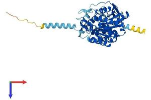 ABHD2 Protein (AA 1-425) (His tag)