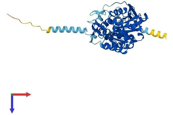 ABHD2 Protein (AA 1-425) (His tag)