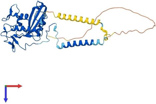 GLIPR1L2 Protein (AA 1-332) (His tag)