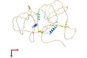GPBP1L1 Protein (AA 1-474) (His tag)