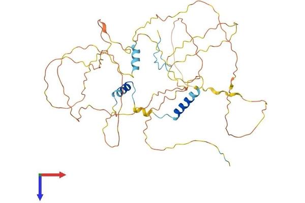 GPBP1L1 Protein (AA 1-474) (His tag)