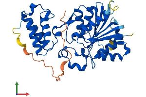 AlphaFold protein structure predicition of Human Recombinant HEMK1 Protein, UniprotID Q9Y5R4