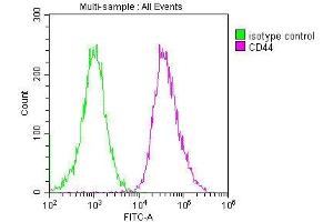 Overlay histogram showing Hela cells stained with ABIN7147160 (red line) at 1:200. (CD44 Antikörper  (AA 21-220))