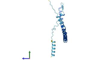Protein Structure (PS) image for Caveolin 3 (CAV3) (AA 1-151) protein (His tag) (ABIN7563384)