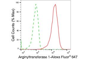 Flow cytometric analysis of Arginyltransferase 1 expression in HepG2 cells using Arginyltransferase 1 antibody (ABIN7797649), 1:2,000). (Rekombinanter ATE1 Antikörper)