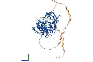 AlphaFold protein structure predicition of Mouse Recombinant Chst2 Protein, UniprotID Q80WV3 (CHST2 Protein (AA 1-530) (His tag))