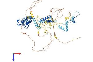 BRD7 Protein (AA 1-651) (His tag)
