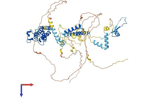 BRD7 Protein (AA 1-651) (His tag)