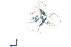 AlphaFold protein structure predicition of Mouse Recombinant Ccpg1 Protein, UniprotID Q640L3
