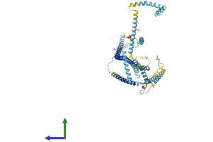 Protein Structure (PS) image for Centrosomal Protein 70kDa (CEP70) (AA 1-616) protein (His tag) (ABIN7557931)