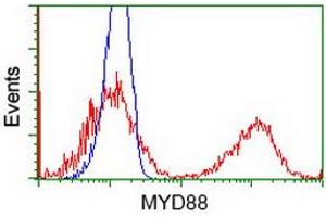Image no. 2 for anti-Myeloid Differentiation Primary Response Gene (88) (MYD88) antibody (ABIN1499610)