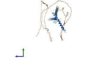 Protein Structure (PS) image for MLF1 Interacting Protein (MLF1IP) (AA 1-410) protein (His tag) (ABIN7559137)