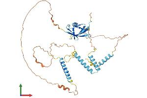 Protein Structure (PS) image for Homocysteine-Inducible, Endoplasmic Reticulum Stress-Inducible, Ubiquitin-Like Domain Member 1 (HERPUD1) (AA 1-391) protein (His tag) (ABIN7554110)