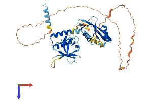 STAP2 Protein (AA 1-411) (His tag)