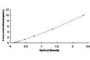 Enhancer of Zeste Homolog 1 (EZH1) ELISA Kit
