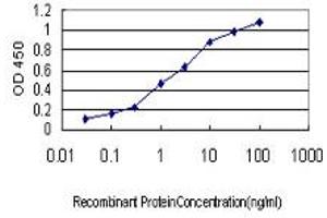 Detection limit for recombinant GST tagged ACE is approximately 0. (Angiotensin I Converting Enzyme 1 Antikörper  (AA 592-701))