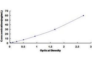Typical standard curve (TNC ELISA Kit)