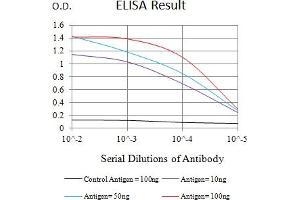 Black line: Control Antigen (100 ng),Purple line: Antigen (10 ng), Blue line: Antigen (50 ng), Red line:Antigen (100 ng) (EHMT2 Antikörper  (AA 317-471))