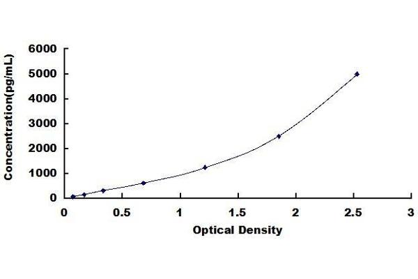 NPTX2 ELISA Kit