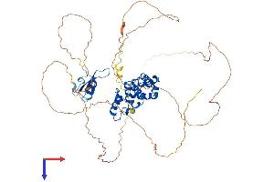 MBD4 Protein (AA 1-580) (His tag)