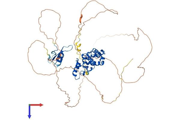 MBD4 Protein (AA 1-580) (His tag)