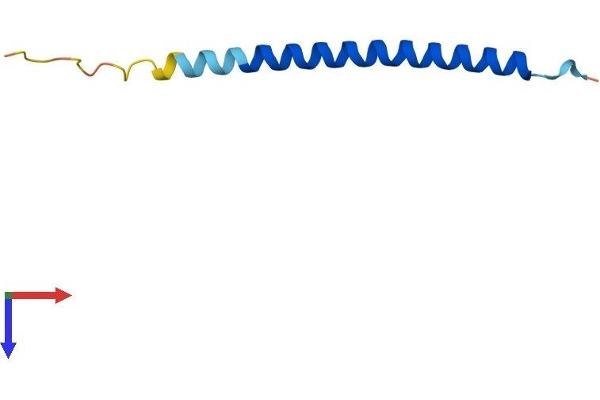 CCDC23 Protein (AA 1-66) (Fc Tag)