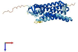 OR3A3 Protein (AA 1-321) (His tag)